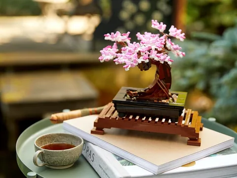 Bonsai fa – A bonsai cseresznyevirággal, könyvek mellett